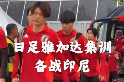 印度尼西亚联赛首位得对，雅加达市风采无边挑逗的简单介绍