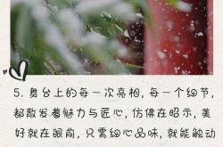 精彩瞬间连连不断，引人入胜
