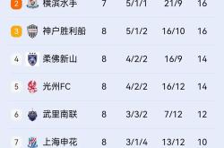 关于申花赢下淄博，积分榜位置有所上升的信息