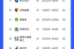 利兹联主场一球小负诺里奇，遗憾告负